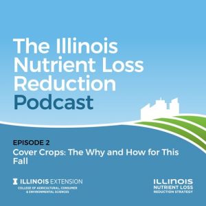 COVER CROPS AND NUTRIENT MANAGEMENT