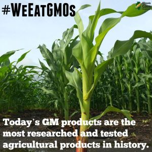 BENEFITS OF GMOS