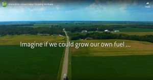 INNOVATION GROWS HERE: GROWING BIOFUELS