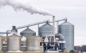 Everything You Wanted to Know about Biofuels Policy: Past and Present