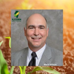 Mark Wilson Will Represent Corn Sector on US Grains Council Board of Directors