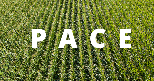 USDA Announces PACE program for Illinois Farmers