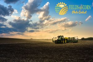 FIELDS-OF-CORN CONTEST ACCEPTING SUBMISSIONS