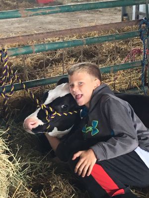 little boy making a face next to a dairy cow