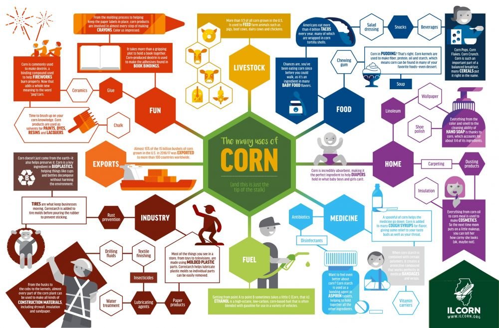 many uses of corn poster