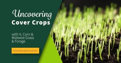 new series on cover crops