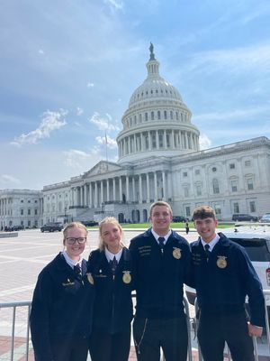 ICGA and FFA grows roots in DC