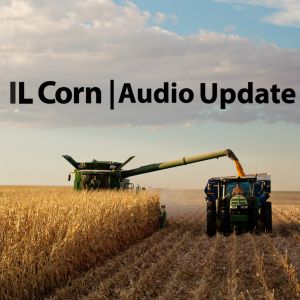 2017 CORN YEAR IN REVIEW FROM U OF I AG ECONOMIST	